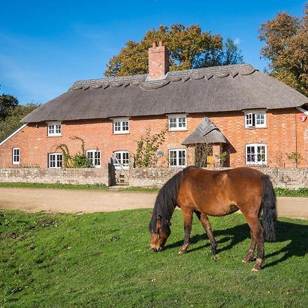 Thatched Cottage Brockenhurst Exterior photo