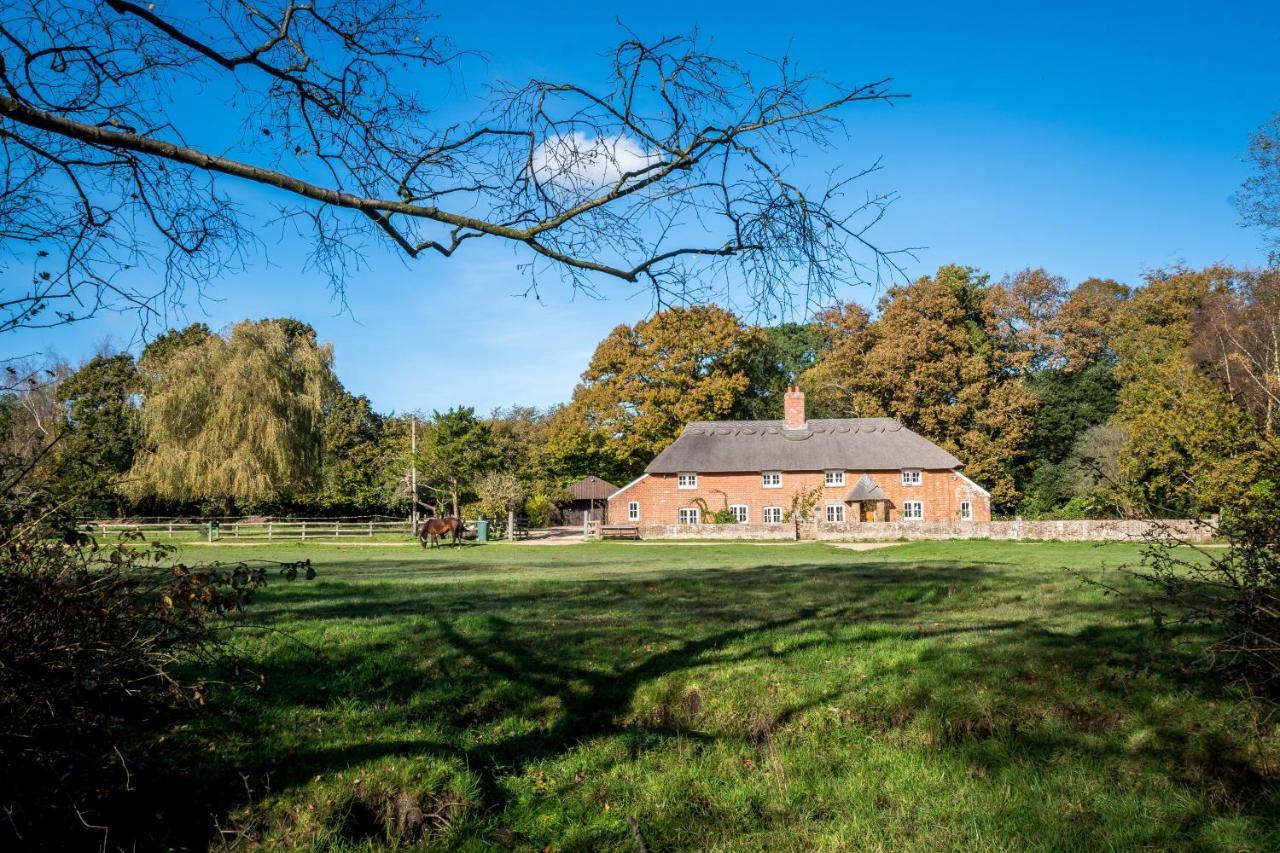 Thatched Cottage Brockenhurst Exterior photo